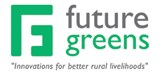 cropped-FG-Logo-website.png